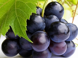 點(diǎn)擊查看詳細(xì)